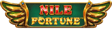 Nile Fortune logo